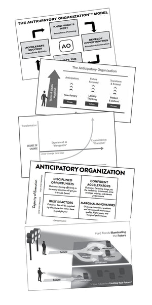 The Anticipatory Organization Book